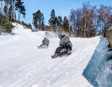 Miniatura: Saneczkarskie szaleństwo dla każdego!...