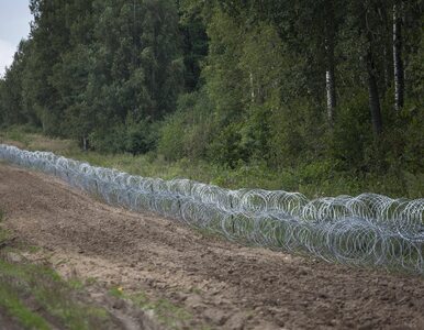 Miniatura: Migranci na granicy polsko-białoruskiej....