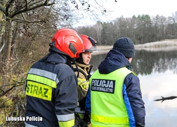 Akcja służb w miejscu tragicznego wypadku 