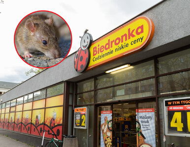 Miniatura: Szczury na zapleczu popularnego sklepu?...