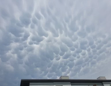 Miniatura: Mammatus. Czym są dziwne chmury widoczne...