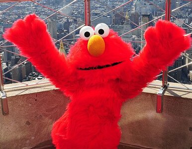 Miniatura: Elmo z "Ulicy Sezamkowej" musi zmienić glos