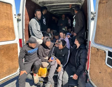 Miniatura: Tak nie przewozi się nawet zwierząt. W...