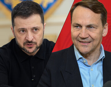 Miniatura: Sikorski wymownie o ruchu Zełenskiego....