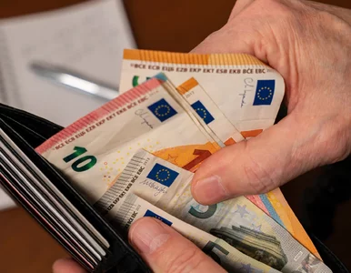 Miniatura: Polacy o przyjęciu euro. Sondaż dla...