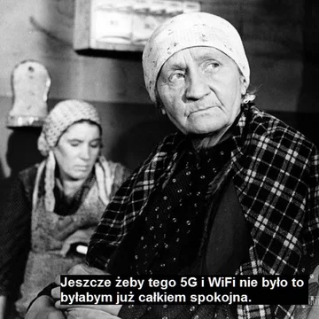 Kraśnik wolny od 5G. Memy 
