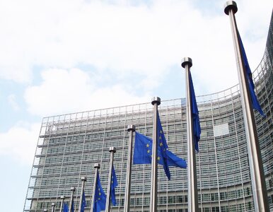 Miniatura: Rząd rozdysponował już pieniądze z UE na...
