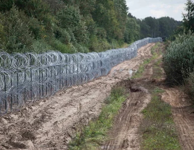 Miniatura: OKO.press: Nie żyje 14-letni Kurd. Do...