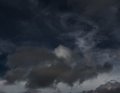 Miniatura: Będzie coraz chłodniej. IMGW opublikował...