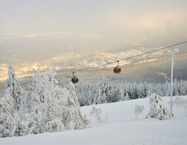 Miniatura: Wymarzony kierunek na ferie dla rodzin....
