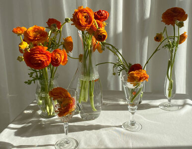 Miniatura: Zamiast wazonu – w co włożyć kwiaty?...
