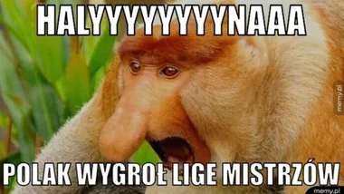 Memy po finale Ligi Mistrzów