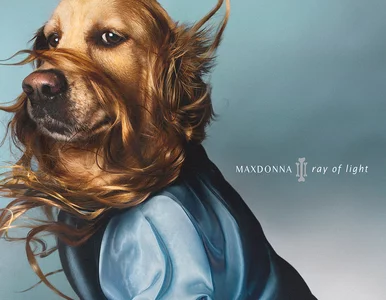 Miniatura: Fotograf z psem parodiują Madonnę. Te...