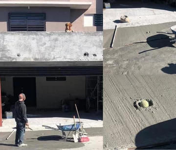 Widzieliśmy te zdjęcia setki razy. Zawsze śmieszą 