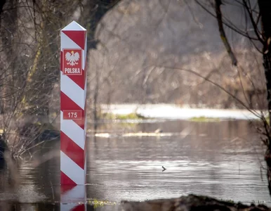 Miniatura: Alarmujące doniesienia SG z granicy...