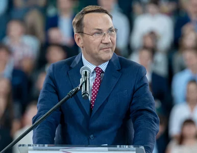 Miniatura: Terlikowski odpowiada Sikorskiemu: To...