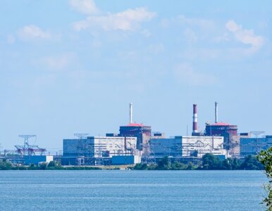 Miniatura: Raport z Zaporoskiej Elektrowni Atomowej....