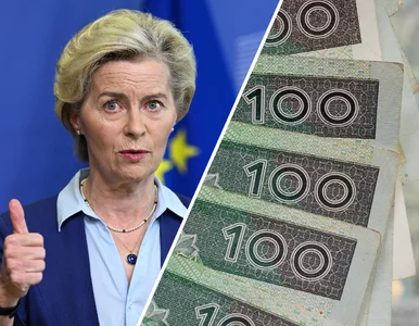 Miniatura: Zapadł wyrok TSUE. Polska zapłaci ogromną...