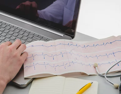 Miniatura: Prof. Katarzyna Elżbieta Biernacka: Dostęp...