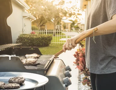 Miniatura: Majówka grozy. „Lud rzuci się na grille,...