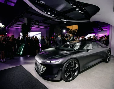 Miniatura: Do jego prowadzenia nie jest potrzebny...