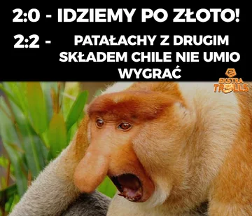Mem po meczu Polska-Chile 