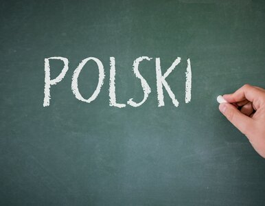Miniatura: Prosty QUIZ z języka polskiego. Trochę...