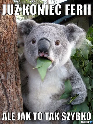 Mem z okazji ferii zimowych 