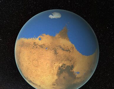 Miniatura: Mars nie zawsze był czerwoną planetą. W...