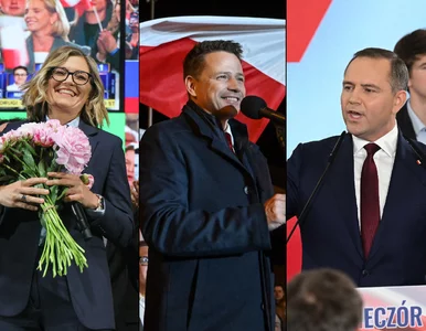 Miniatura: „Zielona stypa” vs. „demonstracja...