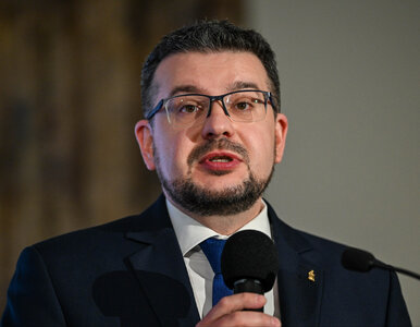 Miniatura: Szef ukraińskiego IPN mówi wprost o haśle...