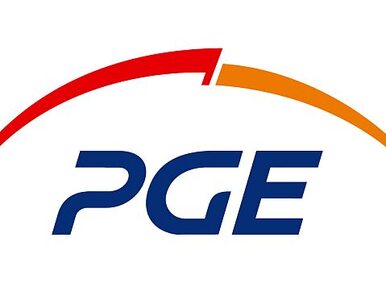 Miniatura: PGE zbudowała pierwszą polską elektrownię...