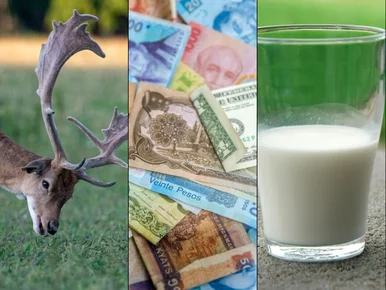 Miniatura: Prosty QUIZ z wiedzy ogólnej. 10 pytań, na...