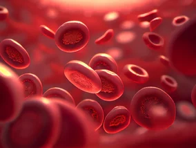 Miniatura: TOP 10 Hemato 2026 – jest już lista...