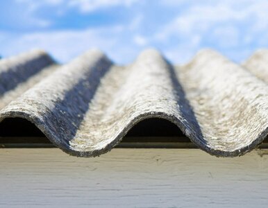 Miniatura: Właściciele tych nieruchomości mają czas...