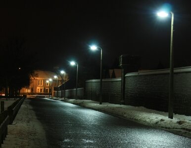 Miniatura: Opole: kierowca ściął latarnię samochodem