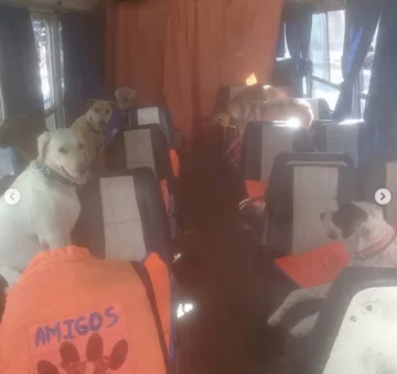 León Dario Sipes i jego podopieczni 