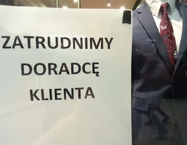 Miniatura: „Praca za grosze”? Nie ma chętnych. Firmy...