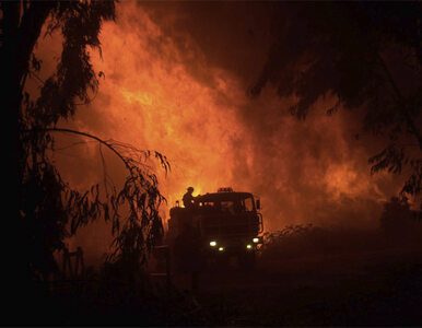 Miniatura: Pożary pustoszą Kalifornię. Los Angeles w...