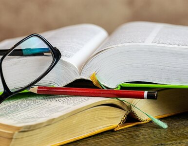 Miniatura: QUIZ. Jesteś dobry z języka polskiego?...