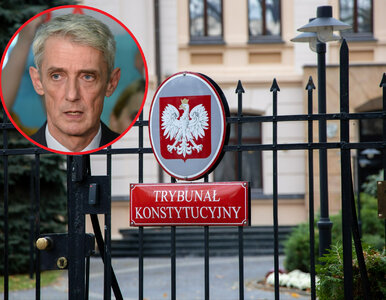 Miniatura: Radykalne środki w Trybunale...
