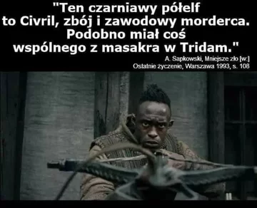 Mem atakujący osoby oburzone na ciemnoskóre elfy 