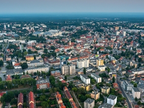 Miniatura: Oto najbardziej zielone miasta w Polsce....