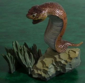 Tsuchinoko 