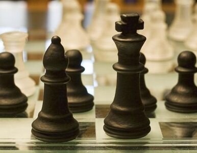 Miniatura: Olimpiada szachowa: Polacy na drugim miejscu