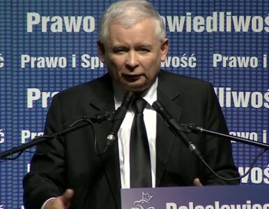 Miniatura: Kaczyński: my mamy cenionych ekspertów,...