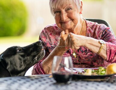 Miniatura: Bon senioralny znowu wraca na tapet. Ale...