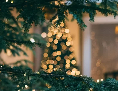 Miniatura: Świąteczny quiz z ortografii. 1/10 to...