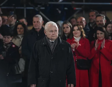 Miniatura: Kaczyński cytuje Brauna. W przeddzień 11...