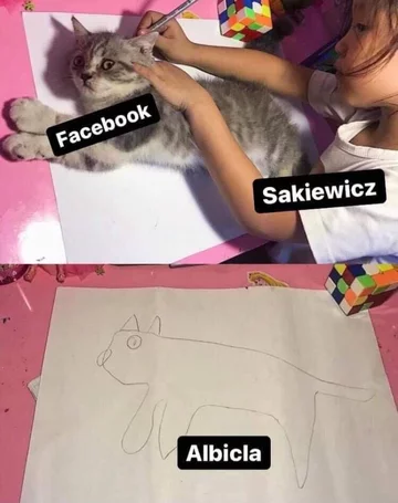 Mem podsumowujący start serwisu Albicla 
